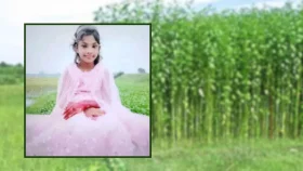 নিখোঁজের পরদিন পাটক্ষেতে মিললো ৯ বছরের কন্যাশিশুর মরদেহ&nbsp;