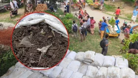 ২৫ কোটি বৃক্ষরোপণ কর্মসূচিতে পলিথিন মেশানো ভেজাল সার বিতরণ