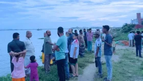 বিয়ের বাজার নিয়ে ফেরার পথে গরু-খাসিসহ মেঘনায় ট্রলারডুবি, নিখোঁজ ৪