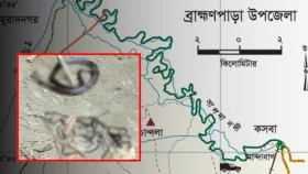 কুমিল্লায় দুই দিনে ২২টি সাপ পিটিয়ে মারলো স্থানীয়রা
