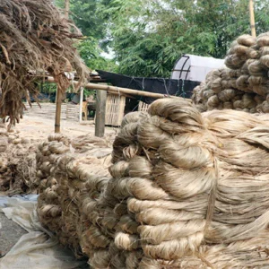 কাঁচা পাট ও পাটপণ্য রপ্তানিতে আগের মাশুলই বহাল
