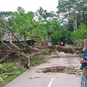 নাজিরপুরে ঘূর্ণিঝর রেমালে ক্ষতি ৫৮ কোটি টাকা