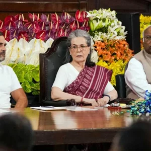 কংগ্রেসের সংসদীয় দলের চেয়ারপারসন হলেন সোনিয়া গান্ধী