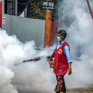 মশক দমনে দরকার সমন্বিত ব্যবস্থাপনা