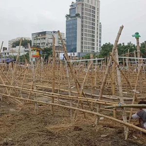 দুপুরের আগেই ফাঁকা তেজগাঁও পশুর হাট