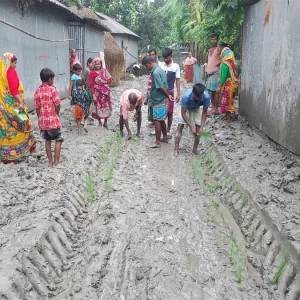 কাঁচা রাস্তায় ধানের চারা লাগিয়ে প্রতিবাদ