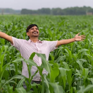 উল্লাসে যা করবেন না