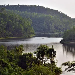 পর্যটকদের নজর কাড়ছে অ্যাডভেঞ্চার ট্রি-টপ ও জিপ-লাইন ট্রলি