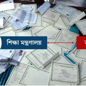 জাল সনদে চাকরিতে সহস্রাধিক শিক্ষক