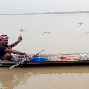 নিষেধাজ্ঞার পরও পদ্মায় প্রকাশ্যে ইলিশ শিকার, চলছে হোম ডেলিভারি 