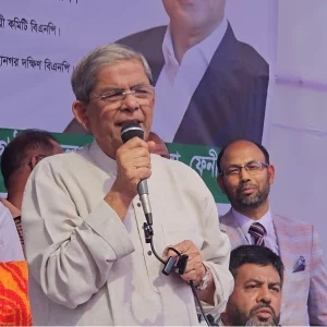 কে নির্বাচন বা রাজনীতি করবে তা জনগণ ঠিক করবে: মির্জা ফখরুল