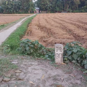 বাংলাদেশ-ভারত সীমারেখা আলাদা করতে পারেনি দুই গ্রামবাসীকে