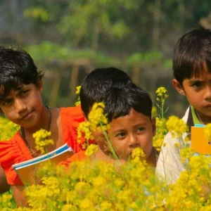 বই ছাপাতে বিলম্ব, ১ জানুয়ারি হচ্ছে না বই উৎসব