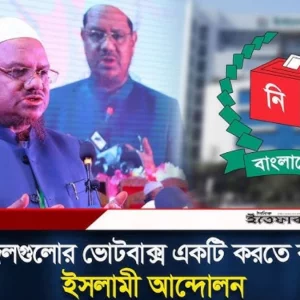 সব ইসলামি দলের জন্য এক ভোটবাক্স, কাজ চলছে: চরমোনাই পীর