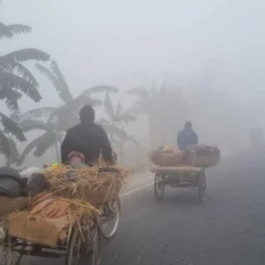 শুক্রবার থেকে বাড়বে শীত, কমতে পারে তাপমাত্রা