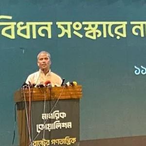 নতুন সংবিধান প্রণয়ন করতে অনেক সময় লাগবে: আসিফ নজরুল