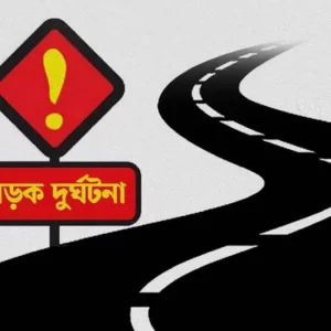 ঘাটাইলে ট্রাক চাপায় স্কুল শিক্ষকের মৃত্যু