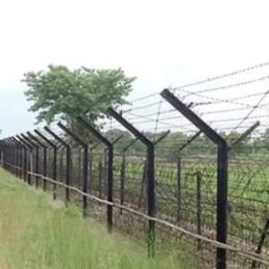 পাটগ্রামের তিন সীমান্ত দিয়ে ২০ জনকে পুশইনের চেষ্টা বিএসএফের