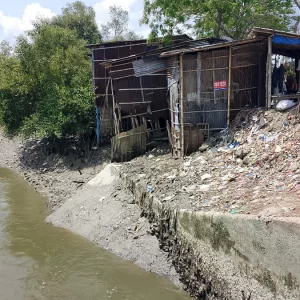 সুন্দরবনে বাড়ছে প্লাস্টিক দূষণ, হুমকিতে প্রাণী ও গাছপালা