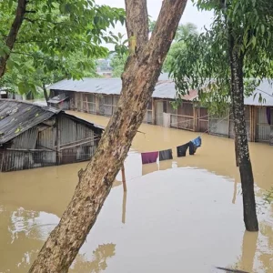 মৌলভীবাজারে মনু ও জুড়ী নদীর পানি বিপদসীমার ওপরে