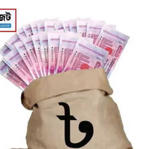 নতুন বাজেটে সঞ্চয়কারীদের জন্য সুখবর
