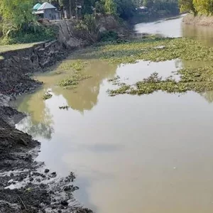 বংশাই-লৌহজং নদীর ভাঙ্গন আতংকে মসজিদ-মন্দির ও শিক্ষা প্রতিষ্ঠান