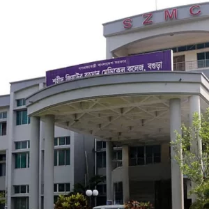 বগুড়ায় প্রাইভেট কারের ধাক্কায় ভ্যানচালকের মৃত্যু