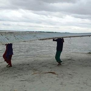 ব্রহ্মপুত্রের ভাঙ্গনের বিলীন অর্ধশত বসতবাড়ি ও ফসলি জমি 