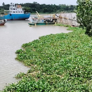 শীতলক্ষ্যায় ভেসে উঠলো নিখোঁজ নারীর মরদেহ