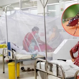 ডেঙ্গুতে আরও ২ জনের মৃত্যু, হাসপাতালে ১৫৯