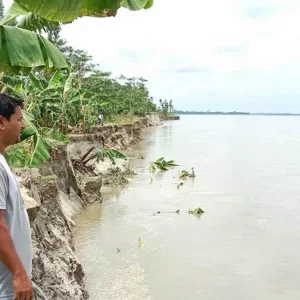 তীব্র হচ্ছে ব্রহ্মপুত্র নদের ভাঙন, বসতবাড়ি হারিয়ে নিঃস্ব শতাধিক পরিবার