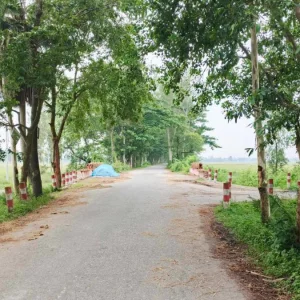 তাড়াশে বেরখালি সড়কে সন্ধ্যা নামলেই শুরু হয় ডাকাতের তাণ্ডব