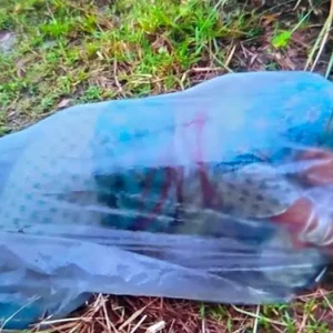 মহাসড়কের পাশ থেকে পলিথিনে মোড়ানো এসিডদগ্ধ অন্তঃসত্ত্বা নারী উদ্ধার