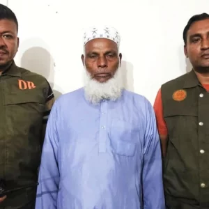 তালগাছ কেটে শতাধিক বাবুইছানা হত্যার ঘটনায় প্রধান আসামি গ্রেপ্তার