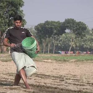 ৮৫০ কোটি টাকায় এক লাখ ১০ হাজার টন সার কিনবে সরকার