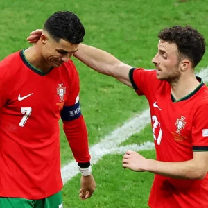 দু: খিত দলের ফেলো