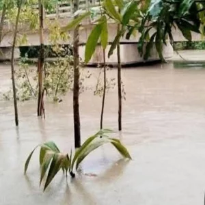 মৌসুমের সর্বোচ্চ বৃষ্টিপাত, তলিয়ে গেল ফেনী