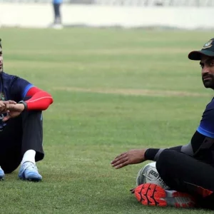 একটি জিনিস আমি বুঝতে পেরেছিলাম, কিছুই সেরা বন্ধু: শাইব