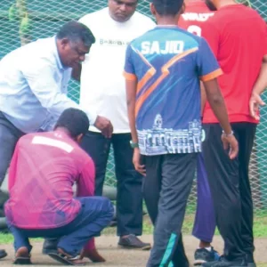বুলবুল