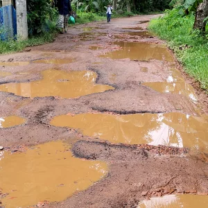 দীর্ঘদিন সংস্কারবিহীন রামগঞ্জ-জামতলি সড়কে প্রসূতির বাচ্চা প্রসব