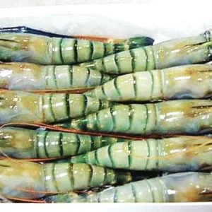 গত অর্থবছরে ৫ হাজার ১৪৫ কোটি টাকার মাছ রপ্তানি