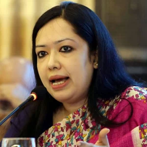 ‘ল অ্যান্ড অর্ডার’ না দেখে ছোটখাটো ইস্যুতে ব্যস্ত সরকার: রুমিন ফারহানা