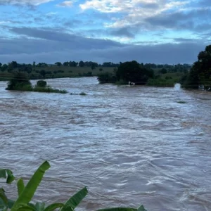 নাইজারে ভয়াবহ বন্যায় নিহত ৪৭, বাস্তুচ্যুত অর্ধলক্ষাধিক মানুষ