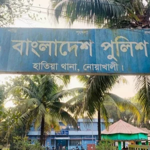 হাতিয়ায় চোর সন্দেহে পিডিবির দুই কর্মীকে পিটুনি, একজনের মৃত্যু