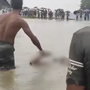 বিকেলে নিখোঁজ, সকালে বিলে ভেসে উঠলো বিএনপি কর্মীর মরদেহ