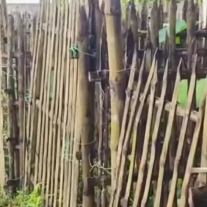 সিরাজগঞ্জে কবরস্থান থেকে ৭ কঙ্কাল উধাও 