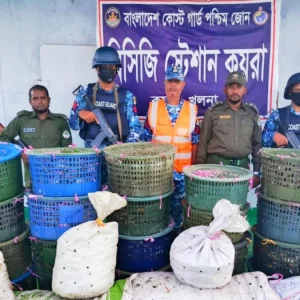 সুন্দরবন থেকে ৮৫০ কেজি কাঁকড়া জব্দ, পালিয়েছে পাচারকারী