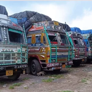 ভারত থেকে ১৪ দিনে ৪০ হাজার টন চাল আমদানি, সুফল পাচ্ছেন নিম্ন আয়ের মানুষ