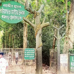 তিন দশকেও চিহ্নিত হয়নি লাউয়াছড়ার সীমানা