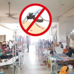 দেশব্যাপী ভয়ংকর রূপে ডেঙ্গু